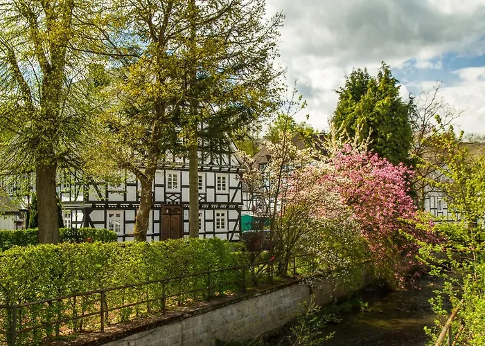 Feldmann-schuette Schmallenberg